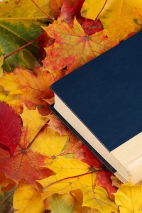 fallbook